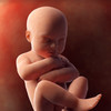 3D Baby Pregnancy Tracker & Calendar