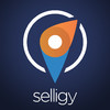 Selligy For Salesforce