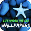 Life Under The Sea Wallpapers