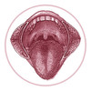 TNM Lip Oral Cavity 2010