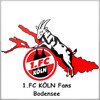 FC FANS Bodensee