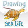 Drawing Sea Creatures - Cartoon Project for iPad