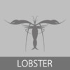 Lobster App