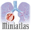 Miniatlas Lung Cancer