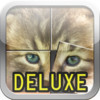 Cute kittens and puppies puzzles - Deluxe