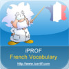 french, improve your vocabulary
