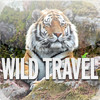 Wild Travel Magazine