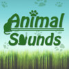 Animal Sounds +