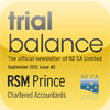 RSM Prince Trial Balance issue 40