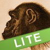 Ape Test Lite