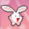 Cuty Bunny