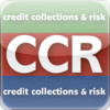 Credit Collections & Risk