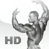 Bodybuilders Collection HD