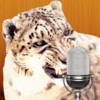 Talking Snow Leopard Pro