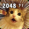 2048 Meme Cats:Logic games have a fun for free family kid games like a doge