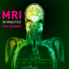 MRI Basic Principles 1a - The Static Field