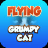 Flying Grumpy Cat