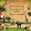 Learn Telugu - Learn Animals for 2 years kids