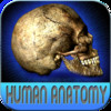 Atlas Of Human Anatomy HD