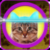 Cat Horoscope Booth: Astrology Horoscopes for your Pet