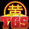TGS - Toulouse Game Show