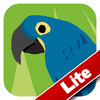 Animal Colours - Blue Lite (Interactive animal flashcards for babies and young kids)