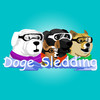 Doge Sledding