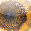 Fibonacci Folding Book