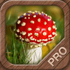 Mushrooms PRO - NATURE MOBILE