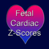 Fetal Cardiac Z-Score Calculation