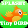 Splashy Tiny Bird: the Flappy Adventure