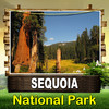 Sequoia National Park - Travel Buddy
