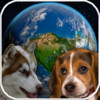 Amazing Earth 3D: Dogs