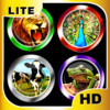 Tons of Animal Sounds, Buttons and Much More Lite HD
