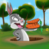 Wild Carrot Hunt : Crazy Farm Rabbit