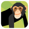 Animal Colours - Black (Interactive animal flashcards for babies and young kids)