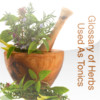 Glossary of Herbal Used As Tonics