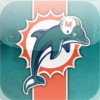 Miami Dolphins 2013