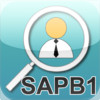 SAP B1 Business Partner Information