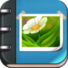 Albums: Photo, Video Manager