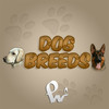 Dog Breeds - Most popular dogs of the world