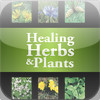 Healing Plants & Herbs