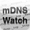mDNS Watch