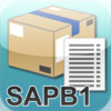 SAP B1 Inventory item information
