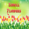 Smell Flowers