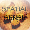 SpatialSense