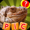 What is the Word? - Guess the Pics and Words In This New Photo Puzzle Quiz Game!