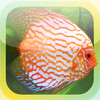 Tropical Fish Encyclopedia