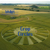InfoAppz - Crop Circles
