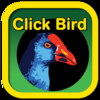 Click Bird